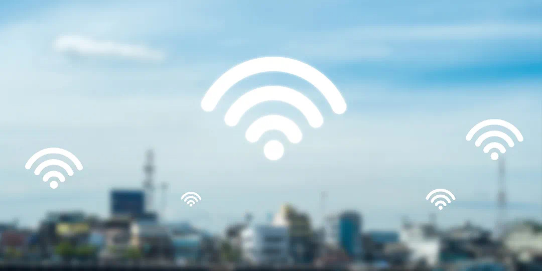 IMG_1564.jpeg IMG_1564.jpeg